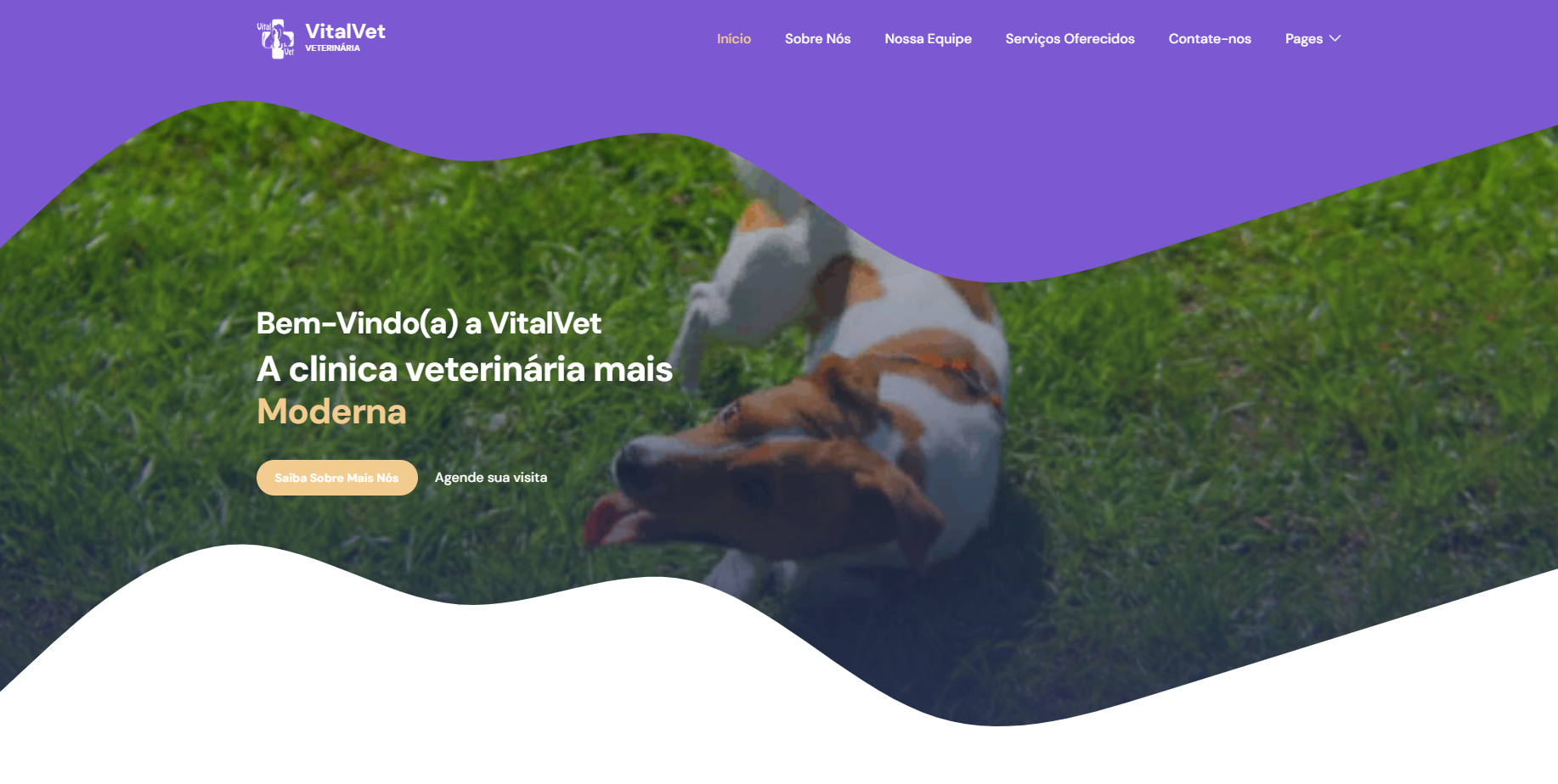 VitalVet